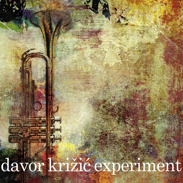 Couverture de Davor Križić Experiment