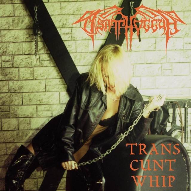 Couverture de Trans cunt whip