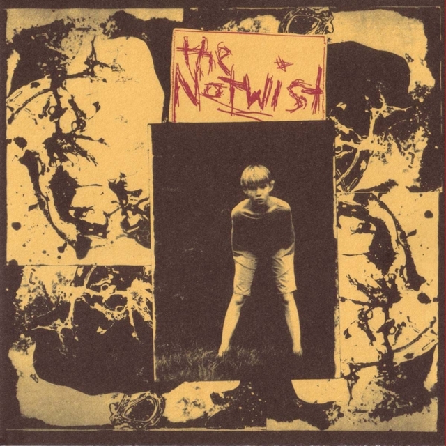 Couverture de The Notwist