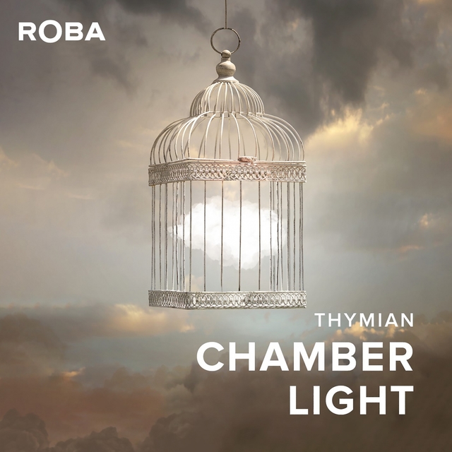 Couverture de Chamber Light