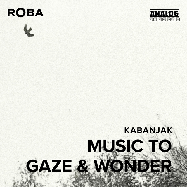 Couverture de Music To Gaze & Wonder