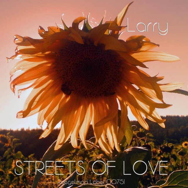 Couverture de Streets of Love