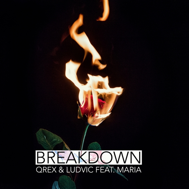 Couverture de Breakdown