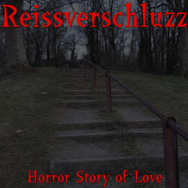 Couverture de Horror Story of Love