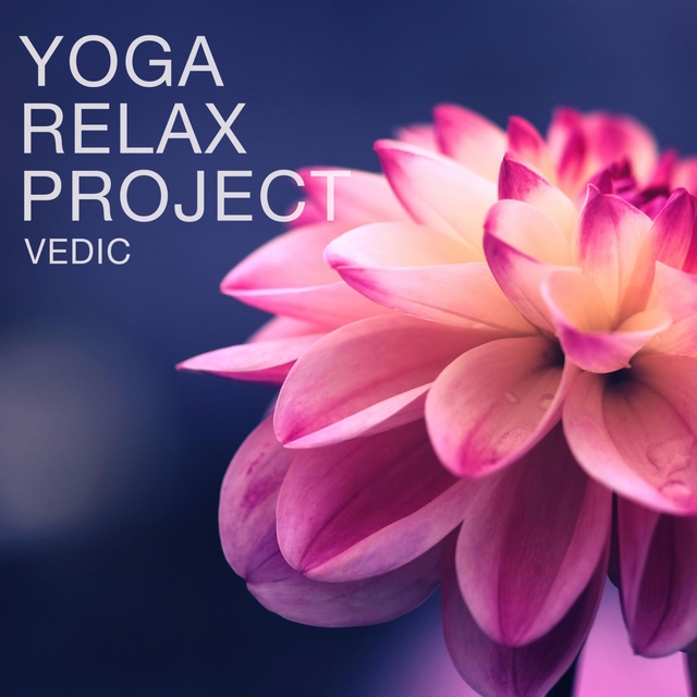 Couverture de Yogic