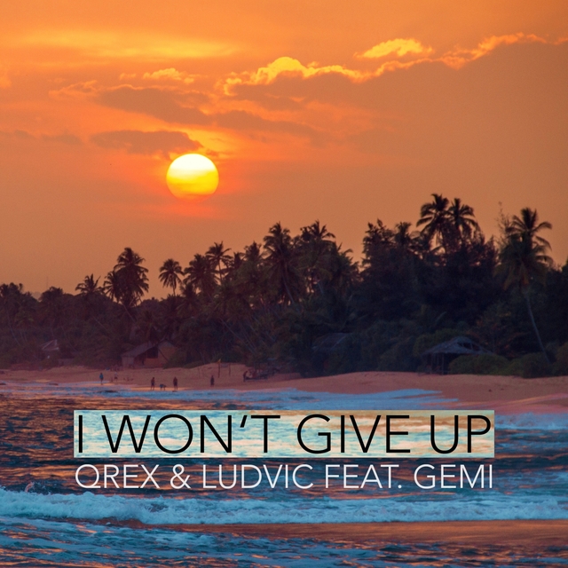 Couverture de I Won't Give Up