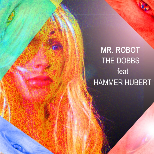 Couverture de Mr Robot