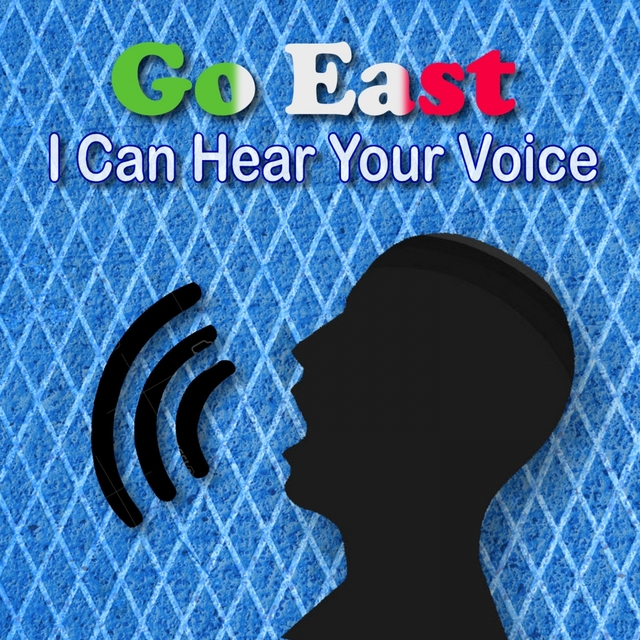 Couverture de I Can Hear Your Voice