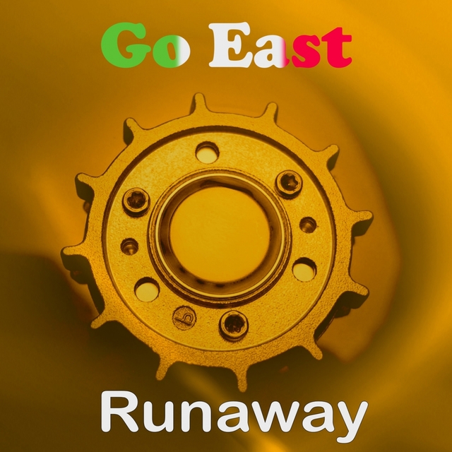 Couverture de Runaway