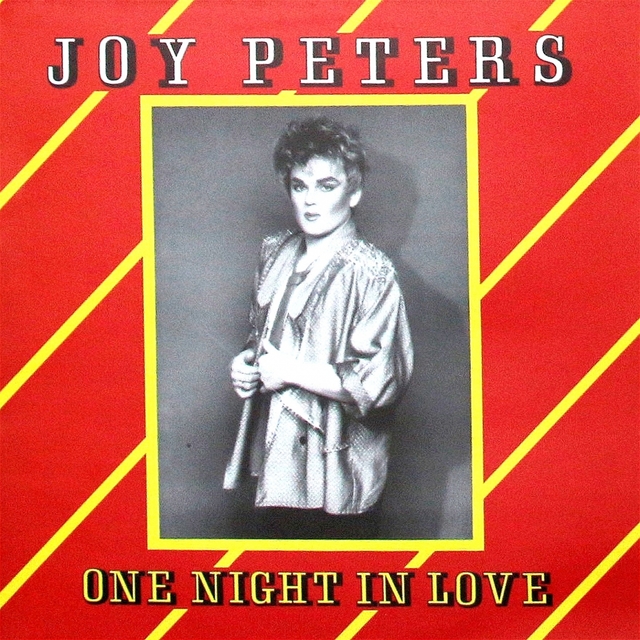 Couverture de One Night In Love