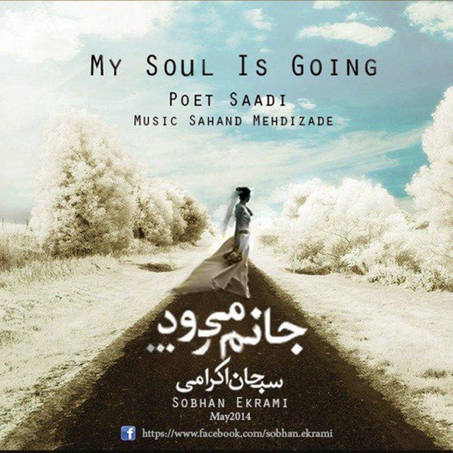 Couverture de My Soul Is Going