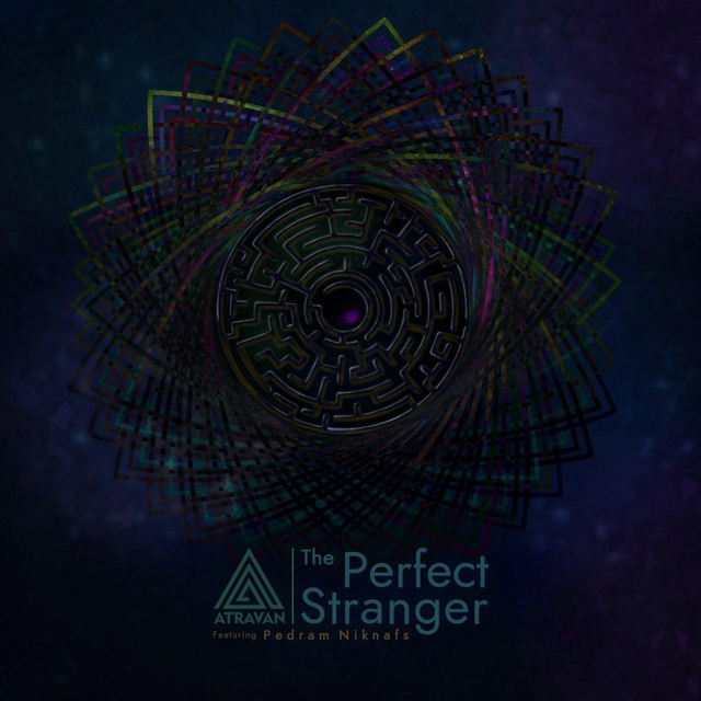 Couverture de The Perfect Stranger