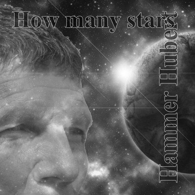 Couverture de How Many Stars