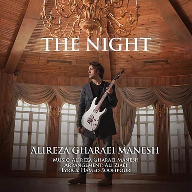 Couverture de The Night