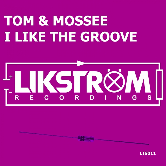 Couverture de I Like The Groove