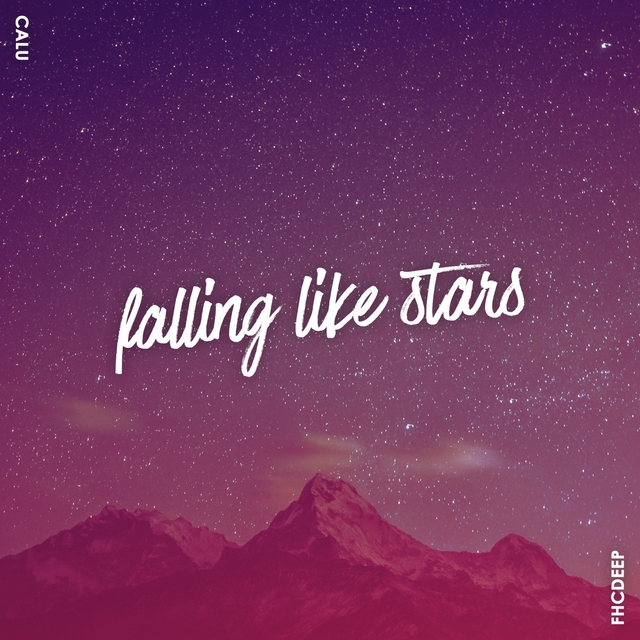 Couverture de Falling Like Stars