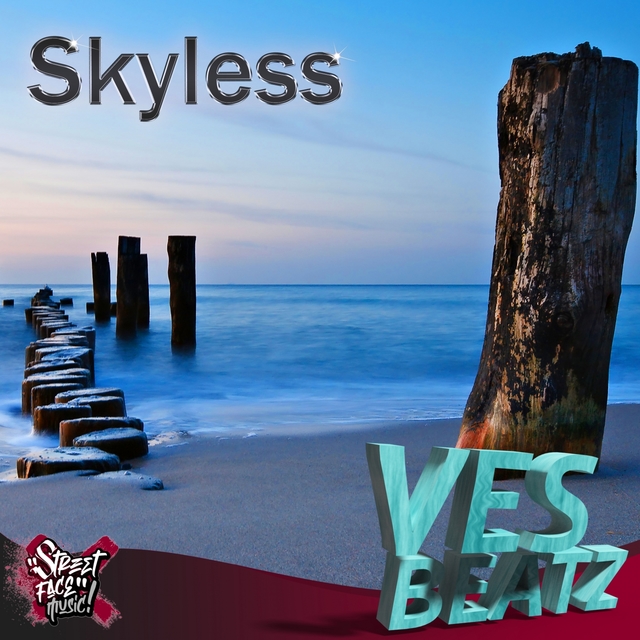 Couverture de Skyless