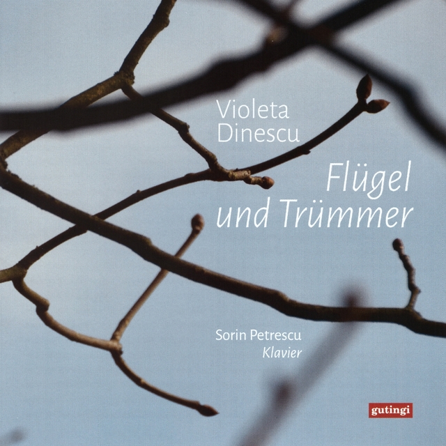 Couverture de Flügel und Trümmer