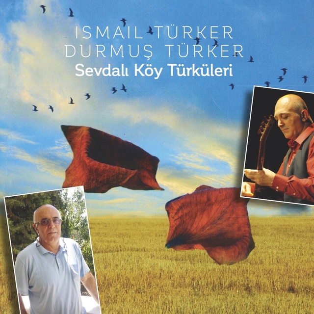 Couverture de Sevdalı Köy Türküleri