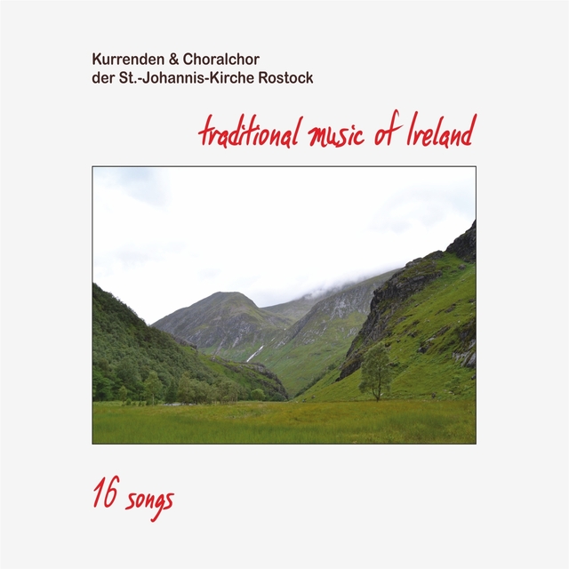 Couverture de Traditional Music of Ireland