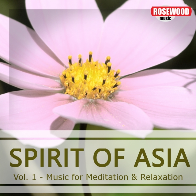 Couverture de SPIRIT OF ASIA