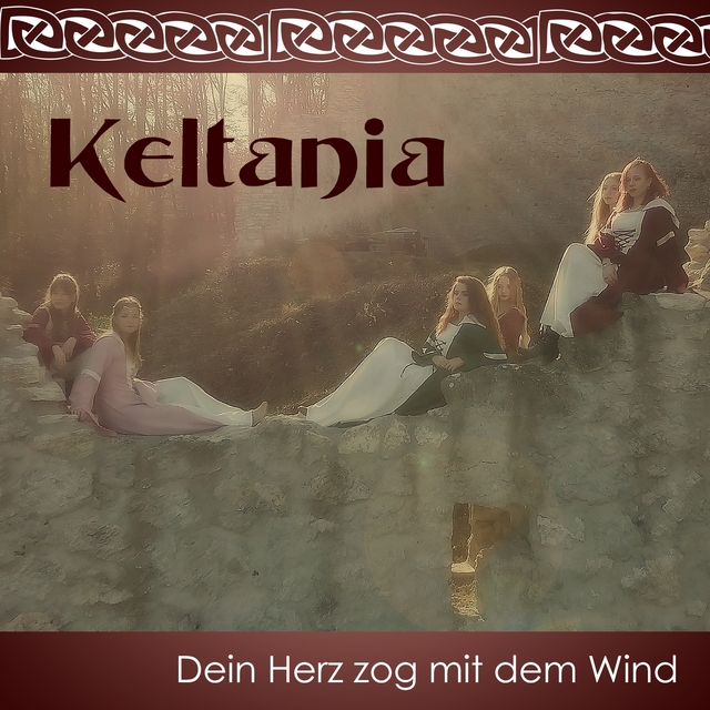 Couverture de Dein Herz zog mit dem Wind