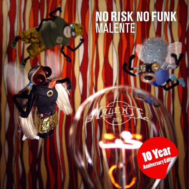 Couverture de No Risk No Funk (10 Year Anniversary Edition)