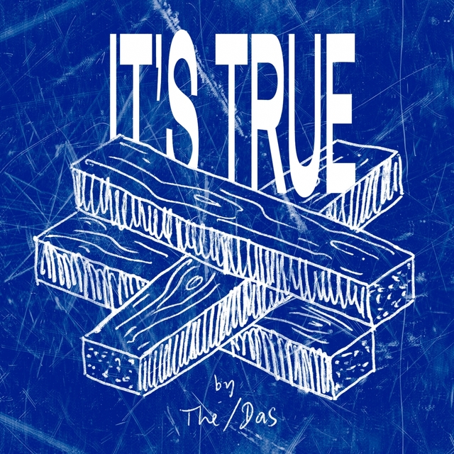 Couverture de It's True