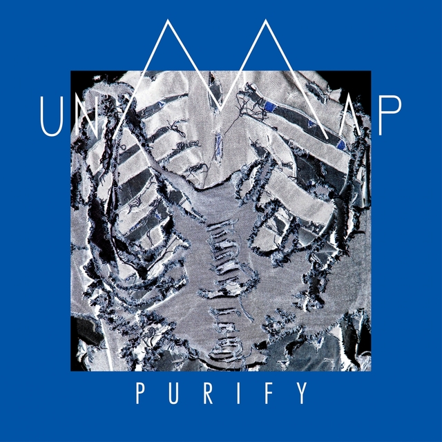 Couverture de Purify