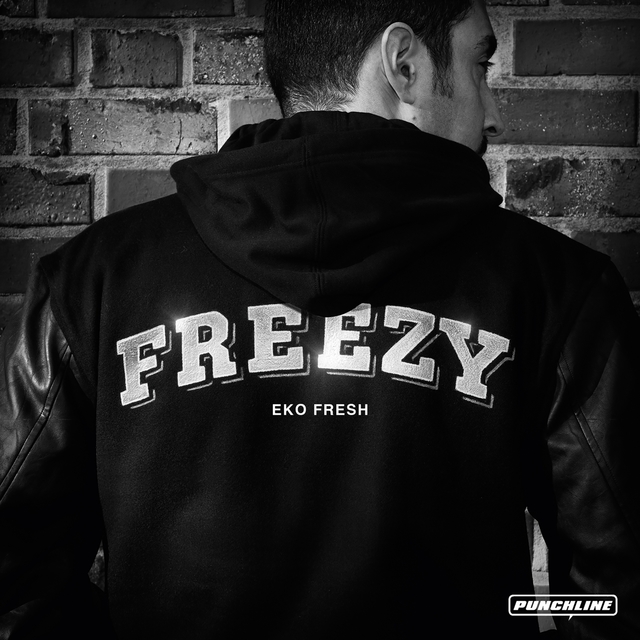 Couverture de Freezy