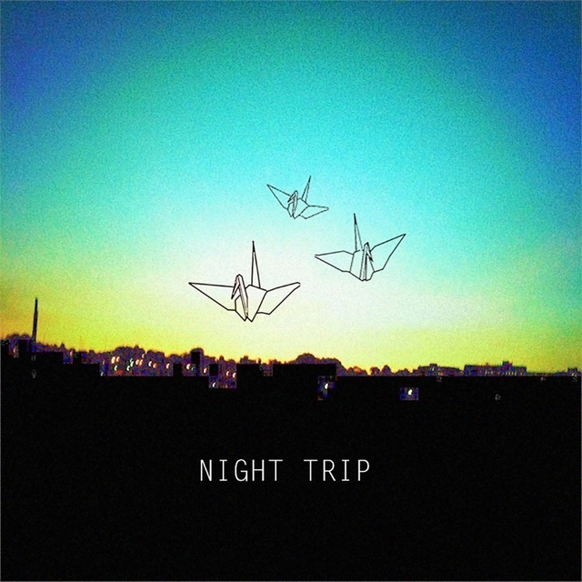 Couverture de Night Trip