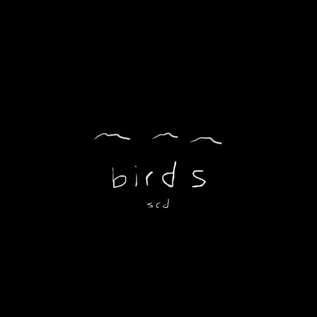 Couverture de birds