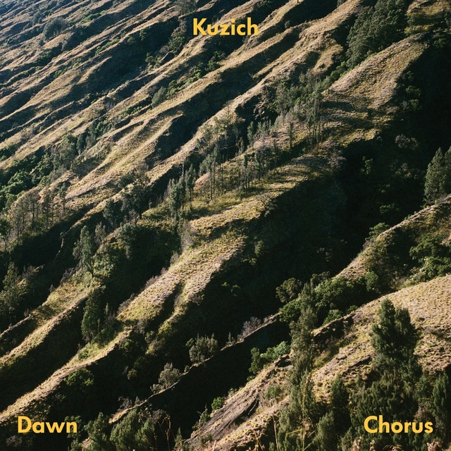 Couverture de Dawn Chorus