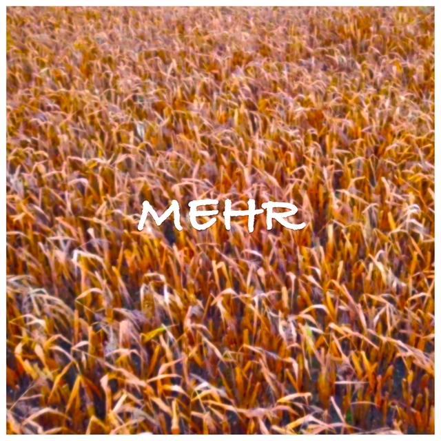 Couverture de Mehr