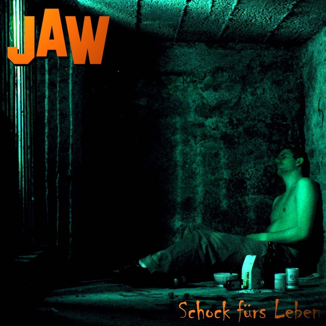 Couverture de Schock fürs Leben