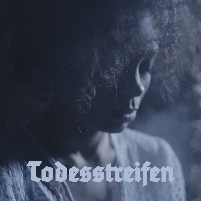 Couverture de Todesstreifen