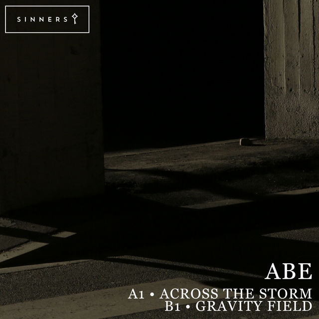 Couverture de Across the Storm