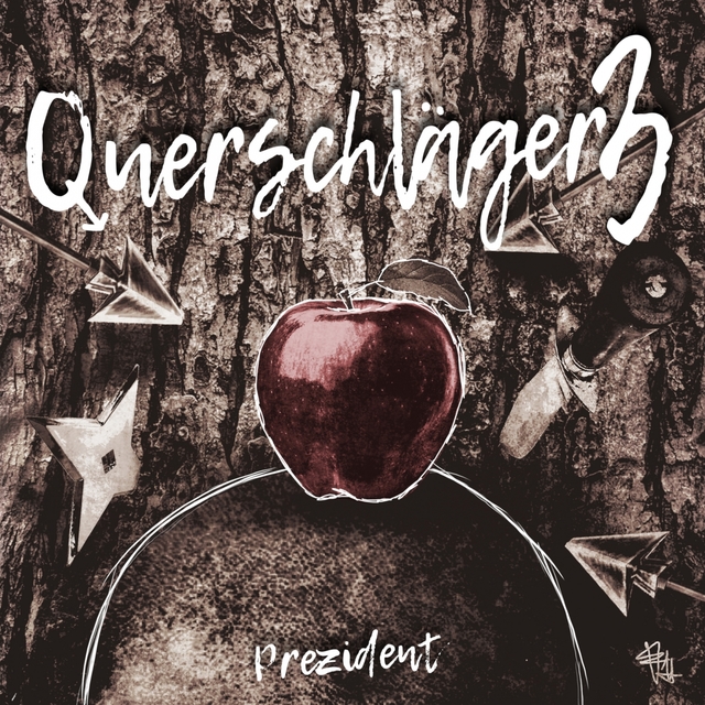 Couverture de Querschläger 3