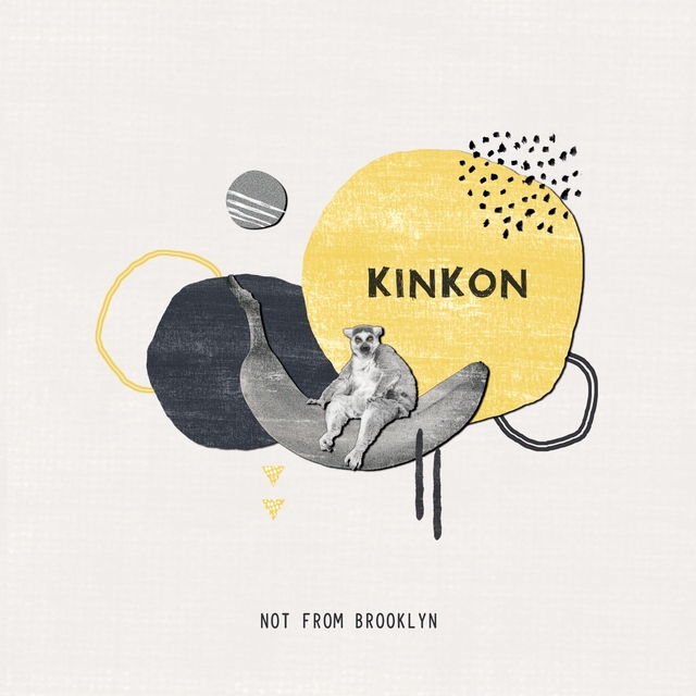 Couverture de Not from Brooklyn