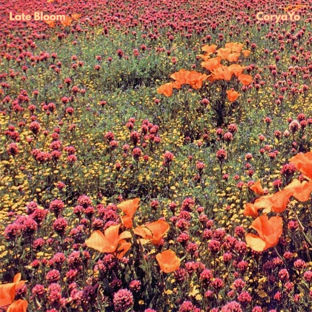 Couverture de Late Bloom