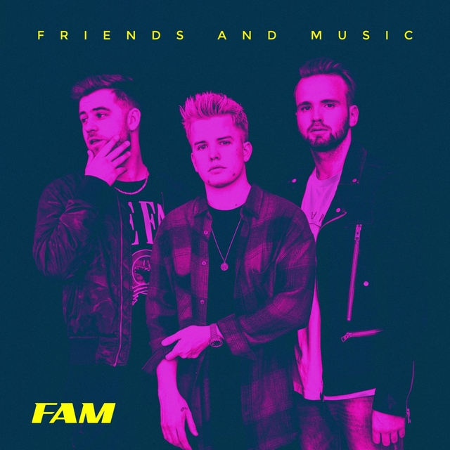 Couverture de Friends and Music