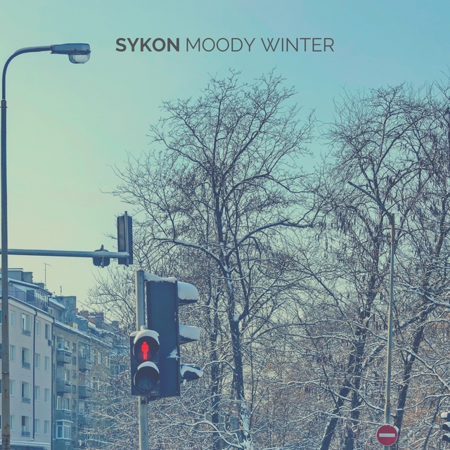 Couverture de Moody Winter