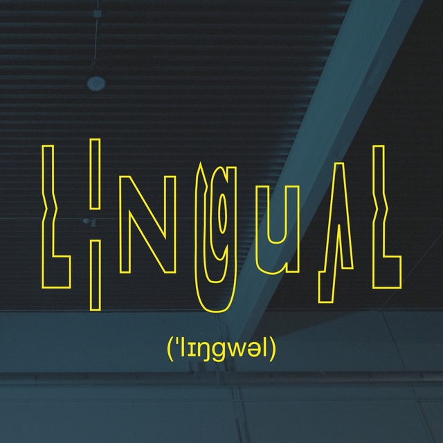 Lingual