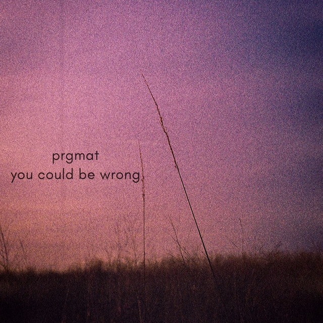 Couverture de You Could Be Wrong