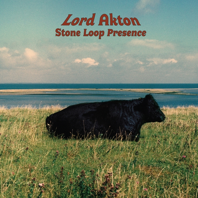 Couverture de Stone Loop Presence