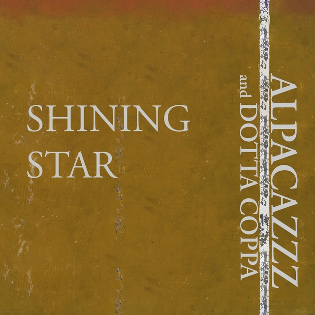 Couverture de Shining Star