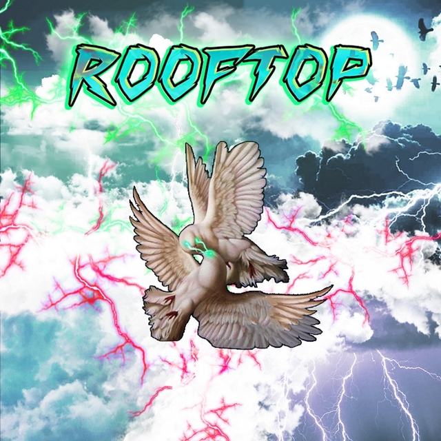 Couverture de Rooftop