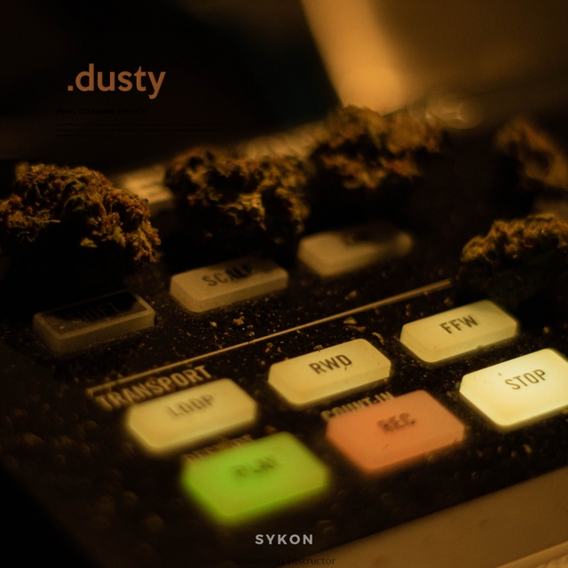 Dusty, Vol.1