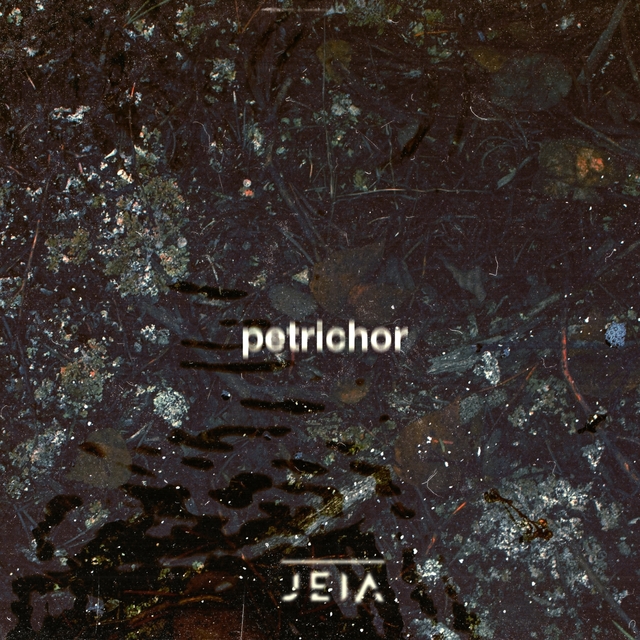 Couverture de Petrichor