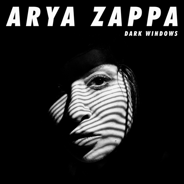 Couverture de Dark Windows